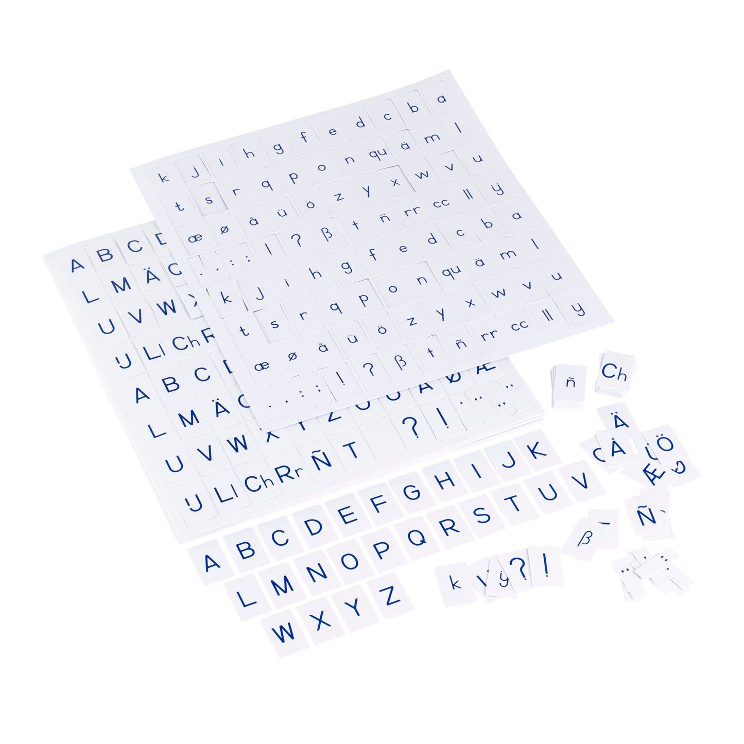 Blue Printed Alphabet: Print (NL)
