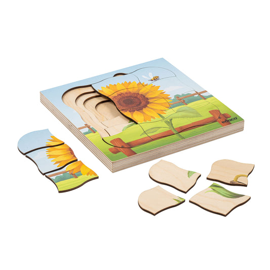 Growth puzzle - sunflower (NL)