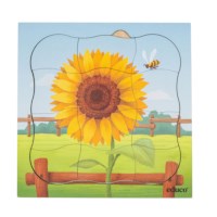 Growth puzzle - sunflower (NL)