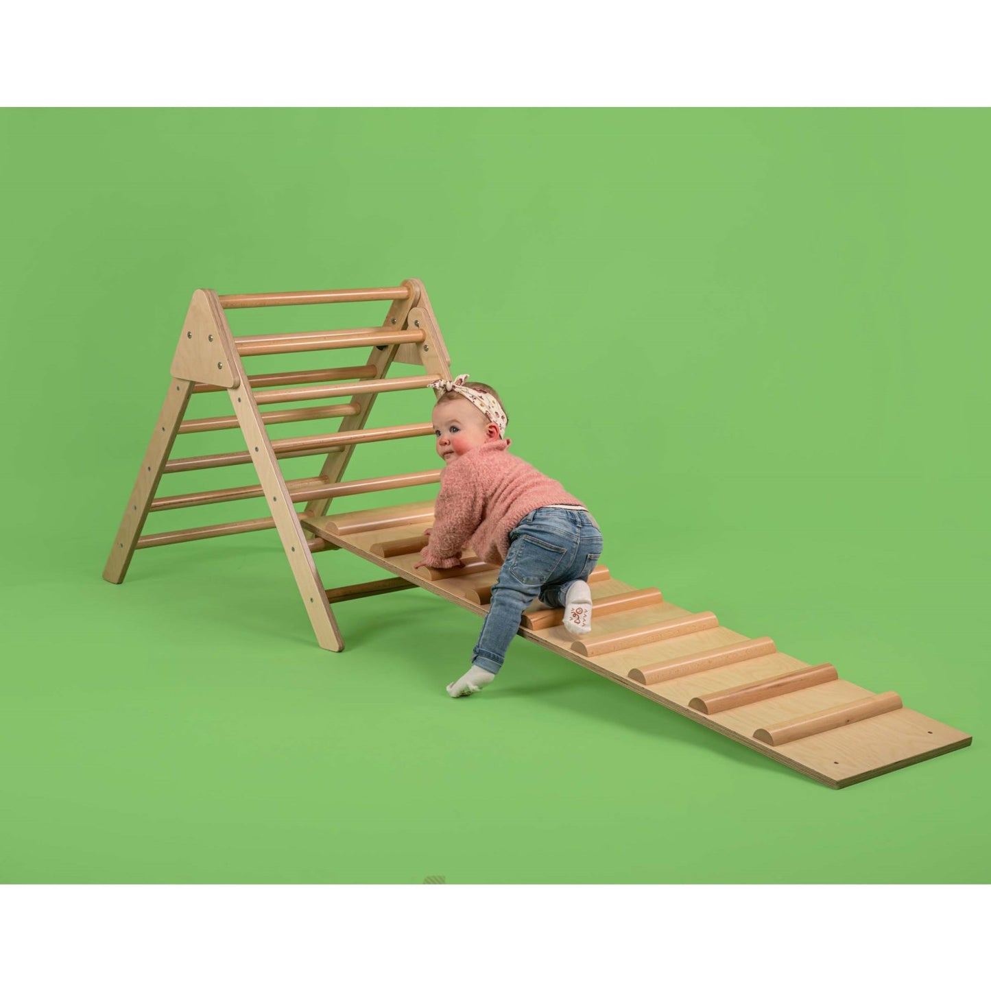 Large Climbing Ladder (NL)