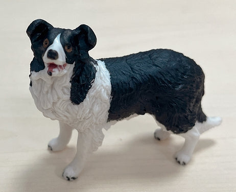 Farm animals: Black and White Sheepdog