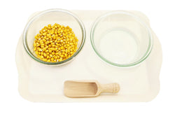 Practical Life Transferring Set