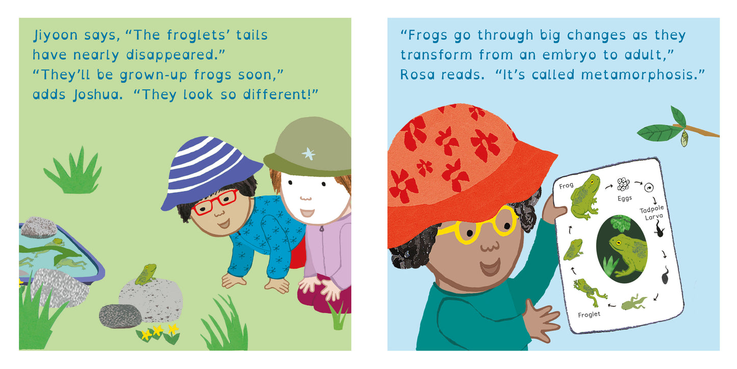Book: Rosa Explores Life Cycles