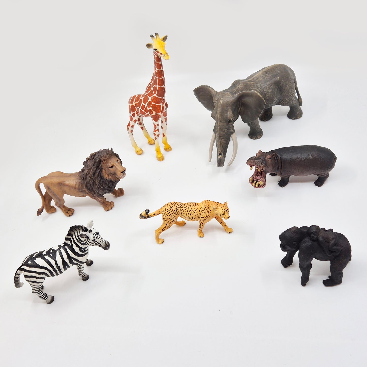 Animals of Africa Pack B