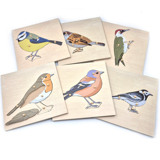 Native British Birds Peg Puzzles Set of 6