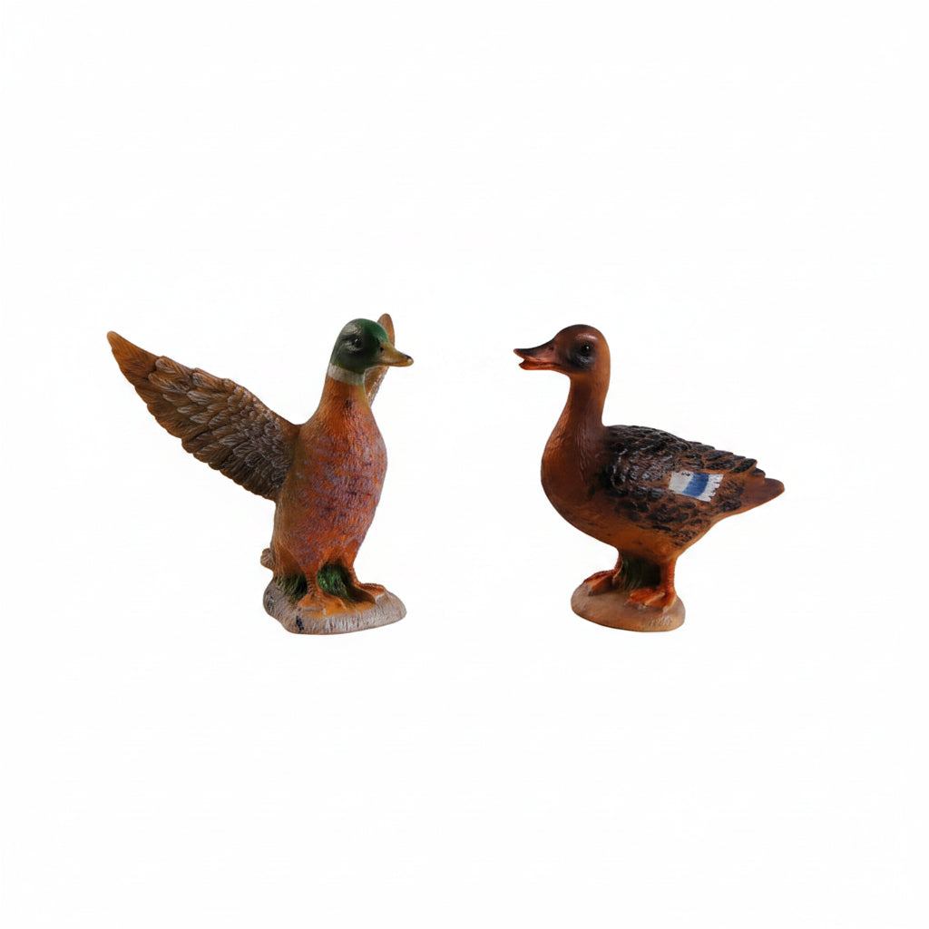 Farm Animals: Pair of Ducks