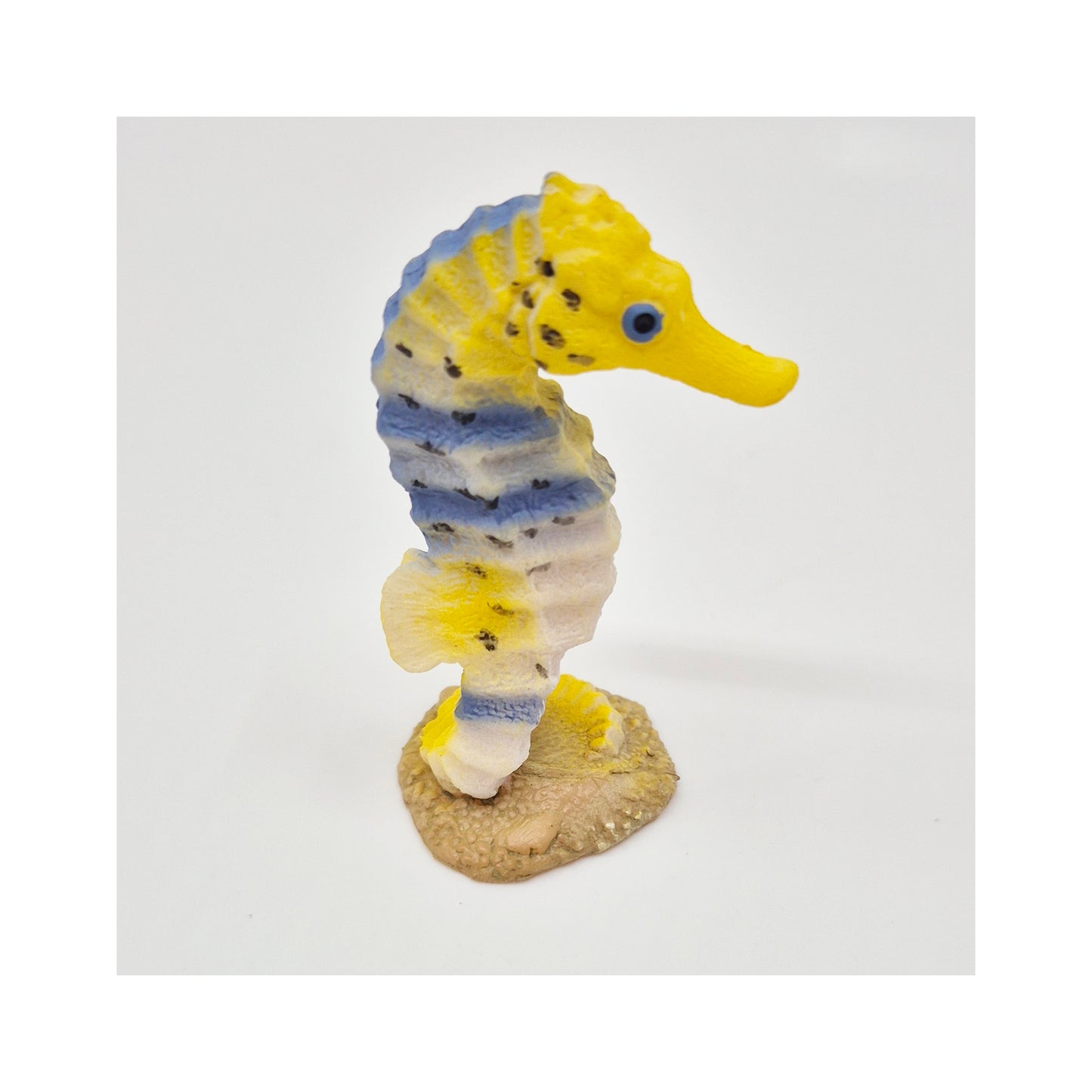 Animals of the Oceans: Seahorse
