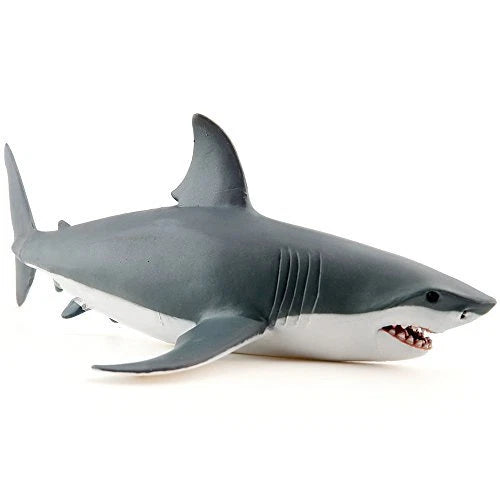 Animals of the Oceans: Shark