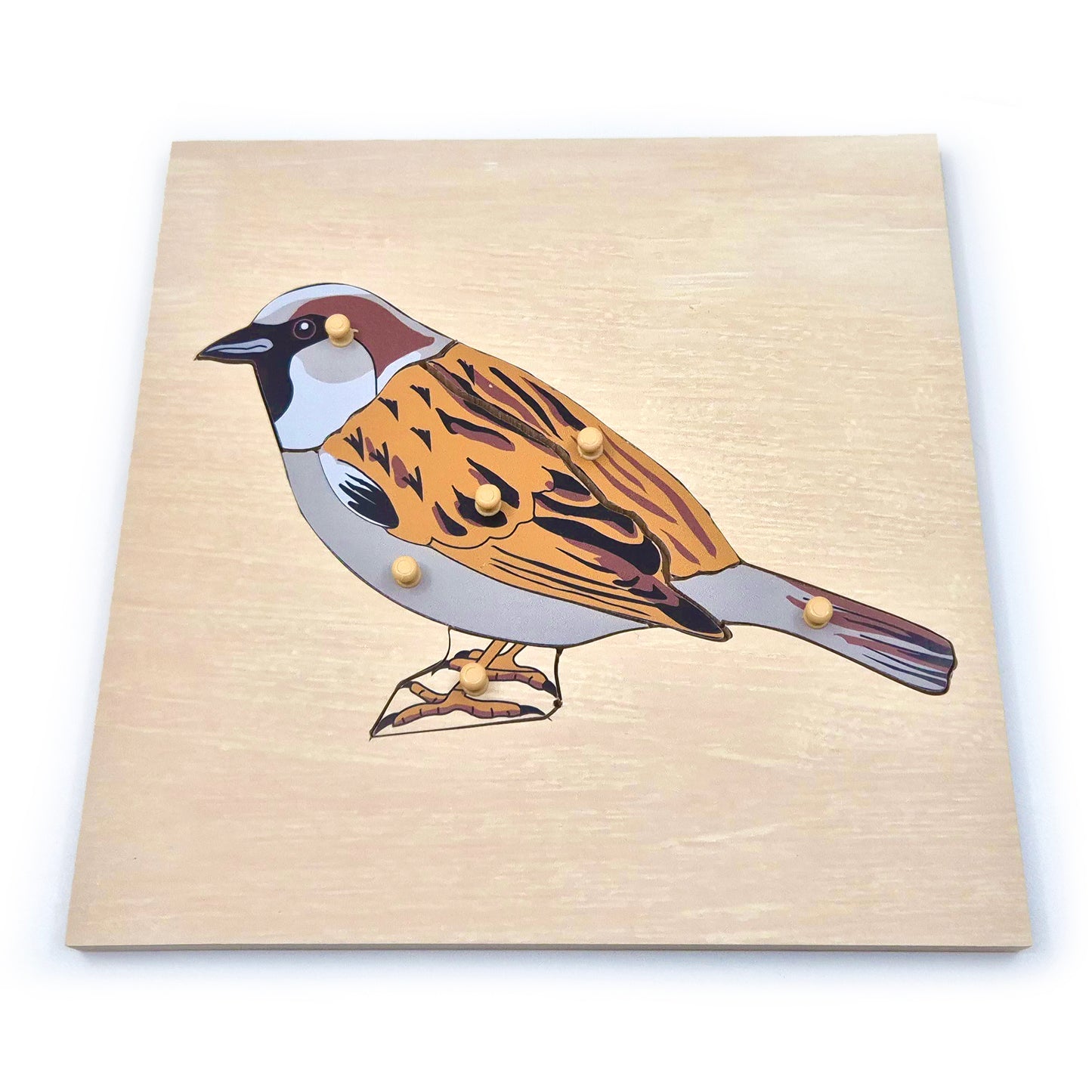 Native British Birds Peg Puzzles Set of 6