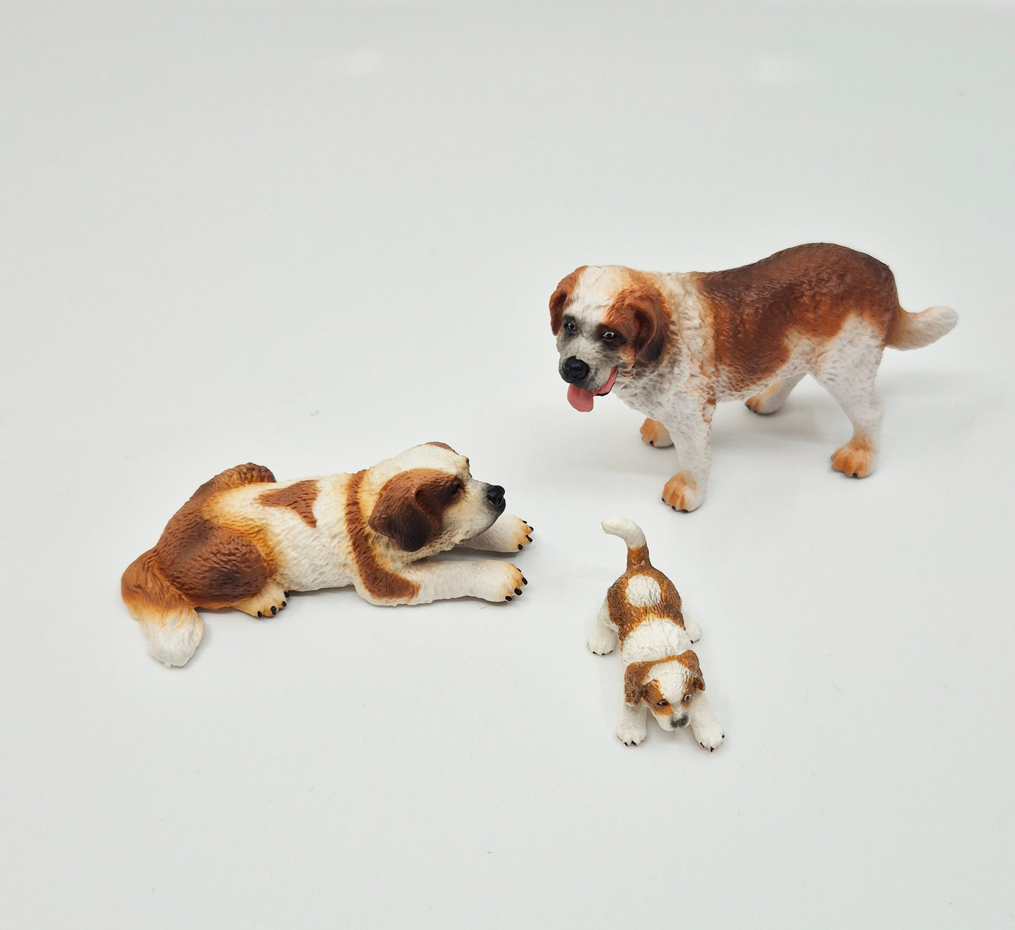 Domestic pets: 2 dogs and a puppy (St Bernards)
