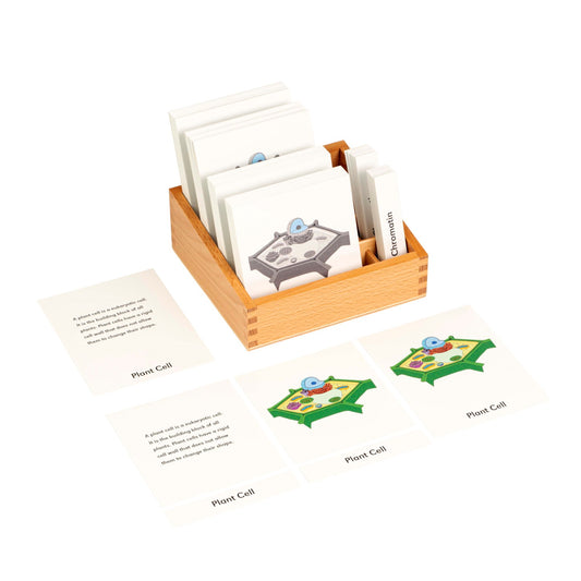 Nienhuis Plant Cell Nomenclature Cards (NL)