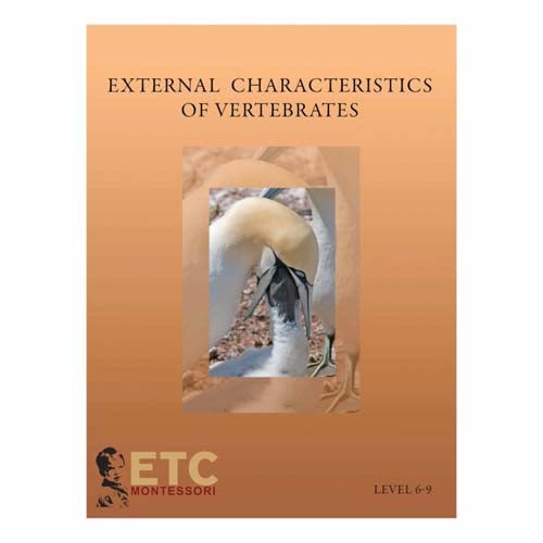 Nienhuis ETC External Characteristics of Vertebrates