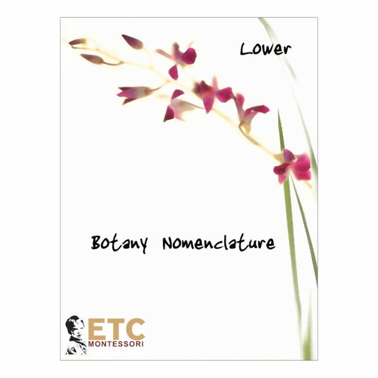 Nienhuis ETC Lower Elementary Botany Nomenclature