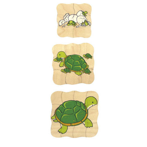 Growth puzzle - turtle (NL)
