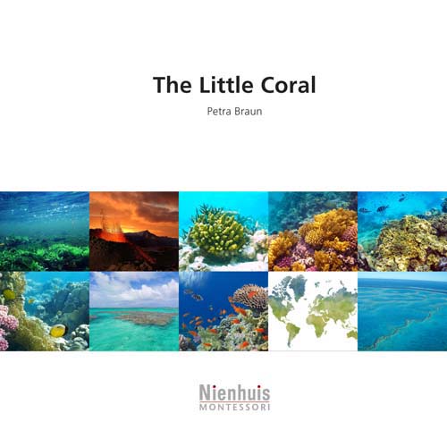Nienhuis The little coral††††