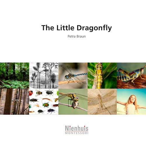 Nienhuis The little dragonfly