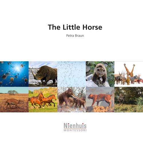 Nienhuis The little horse††††