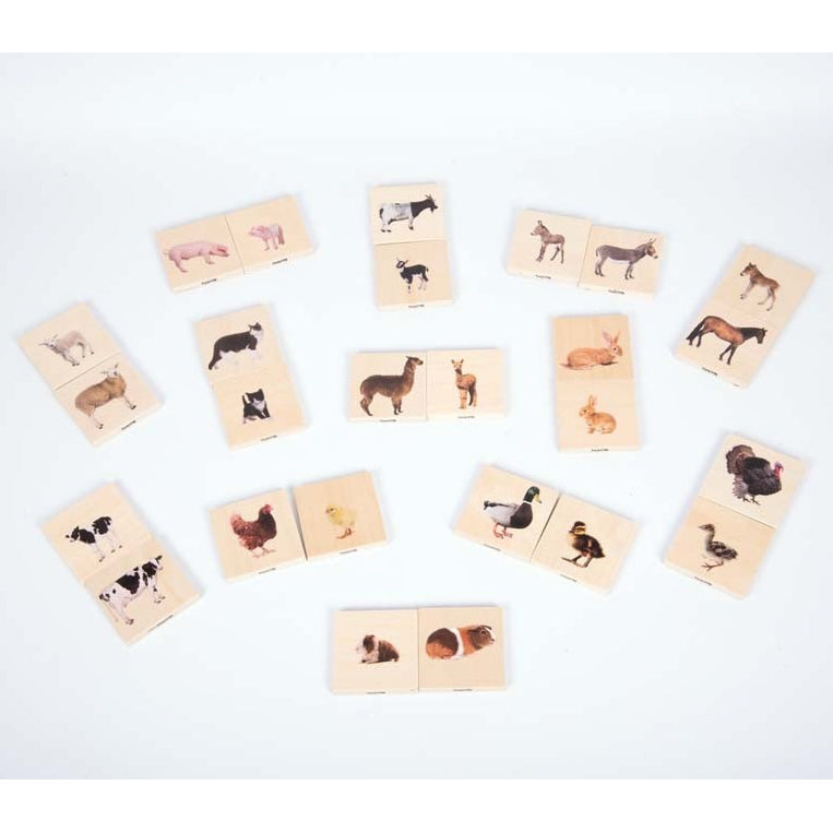 Domestic Animals Wooden Blocks: Adults and Young