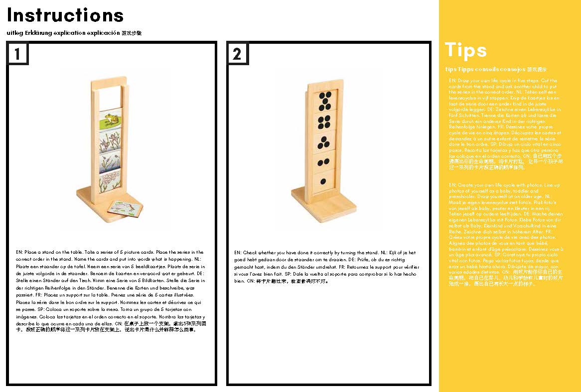 Life cycle: Lifecycles Stand and Cards