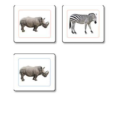 Nienhuis ETC African Animals Matching Cards