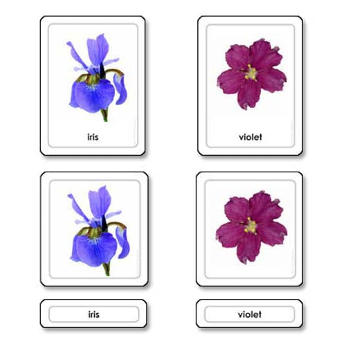 Nienhuis ETC Flowers 3 Part Cards