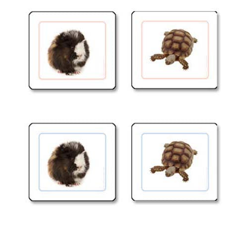 Nienhuis ETC Pets Matching Cards