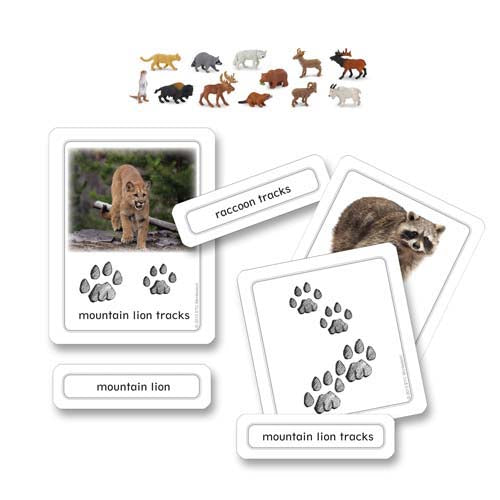 Nienhuis ETC North American Animal Tracks w Objects – Absorbent