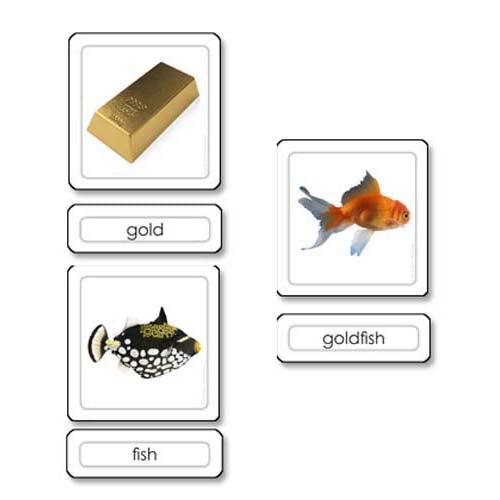 Nienhuis ETC Compound Word Building