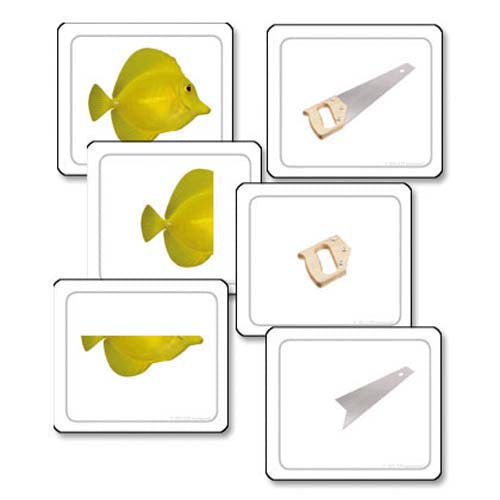 Nienhuis ETC Parts to a Whole