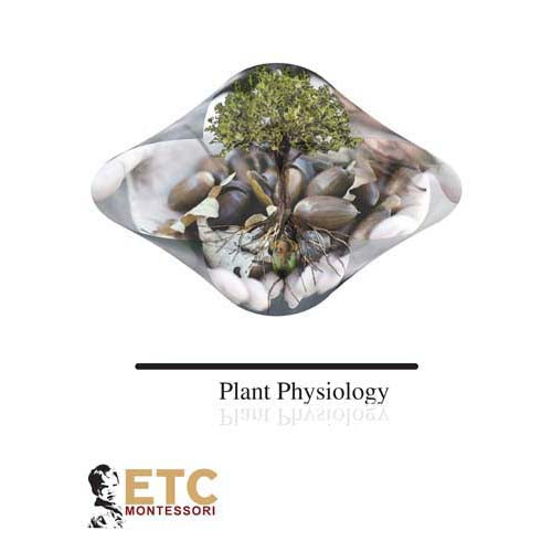 Nienhuis ETC Plant Physiology