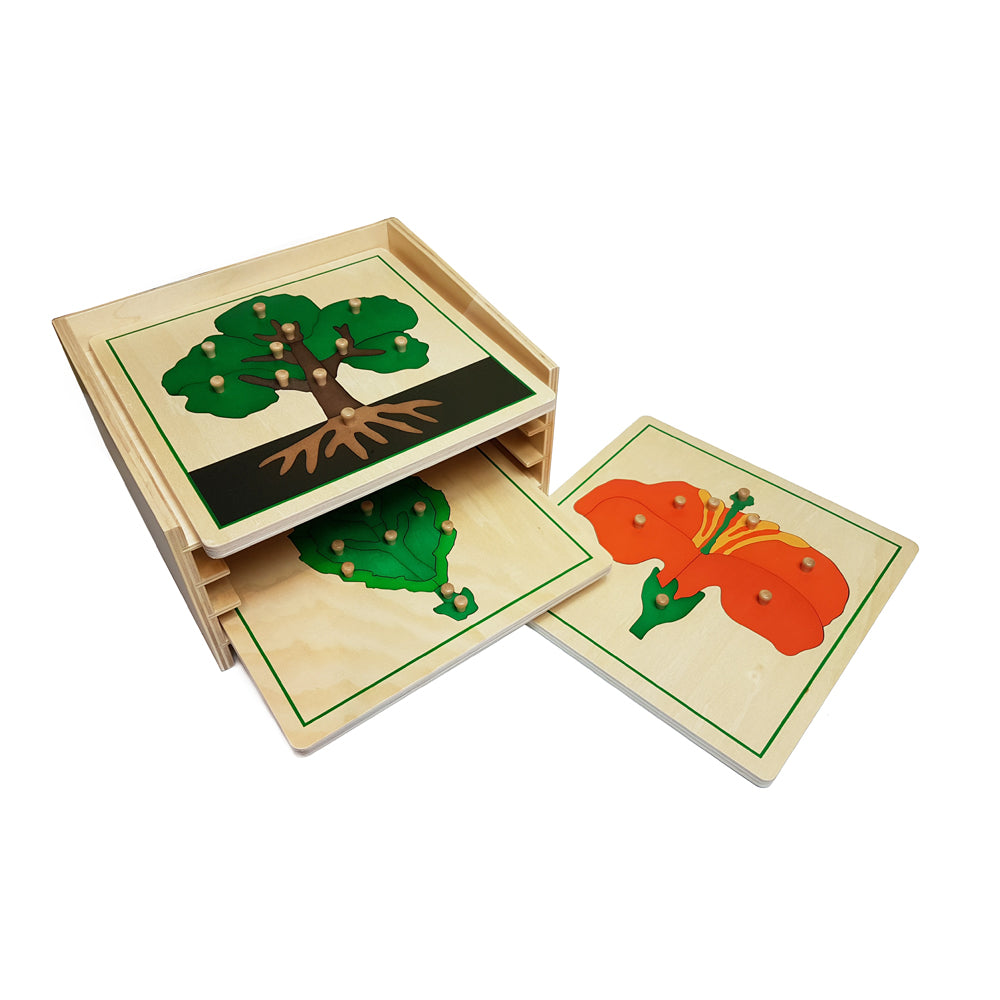 Montessori Botany Cabinet with Tree, Leaf and Flower Puzzles