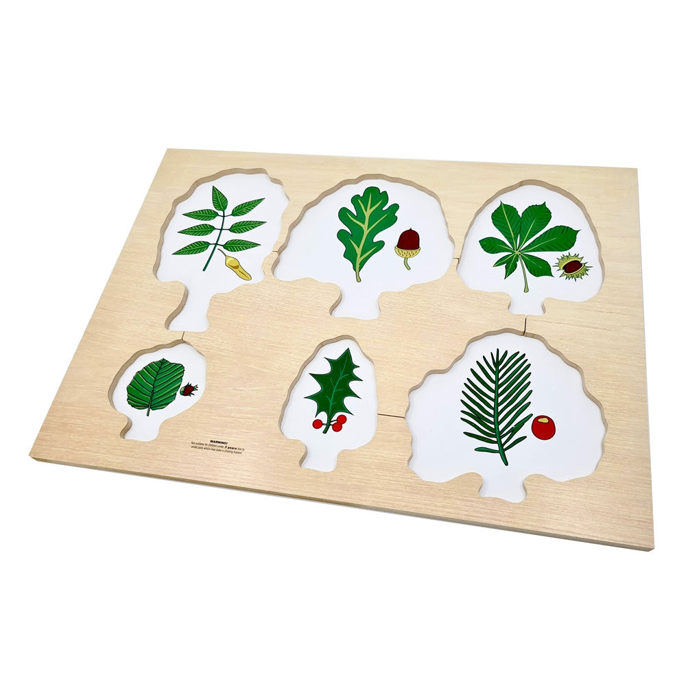 Native British Trees Board Puzzle