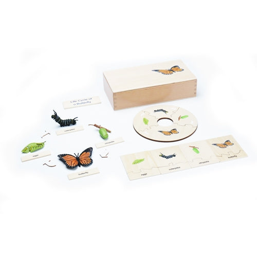 Butterfly Lifecycle Set