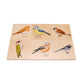 Montessori British Birds Puzzles