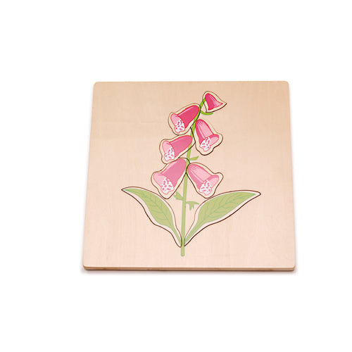 Montessori Foxglove Puzzle