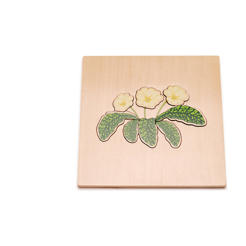 Montessori Primrose Puzzle