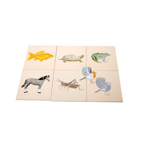 Montessori Zoology Puzzles with Skeletons