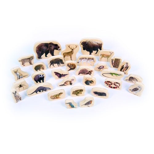 Forest Animals Wooden Blocks