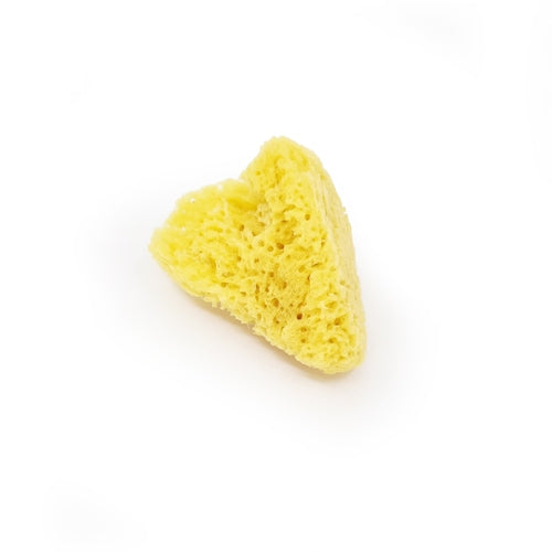 Discount Natural Sponge