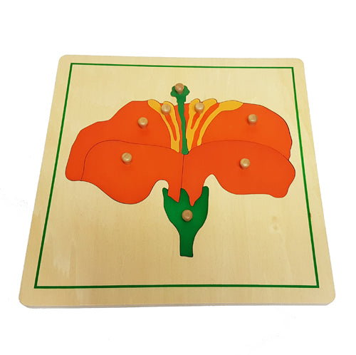 Montessori Botany Cabinet with Tree, Leaf and Flower Puzzles