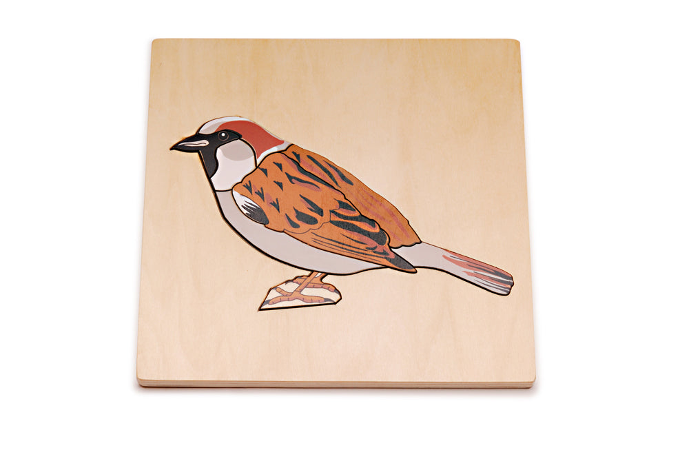 Sparrow Puzzle