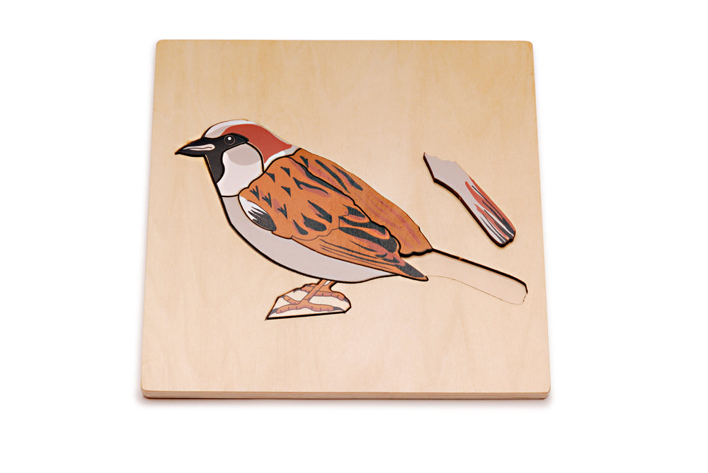 Sparrow Puzzle