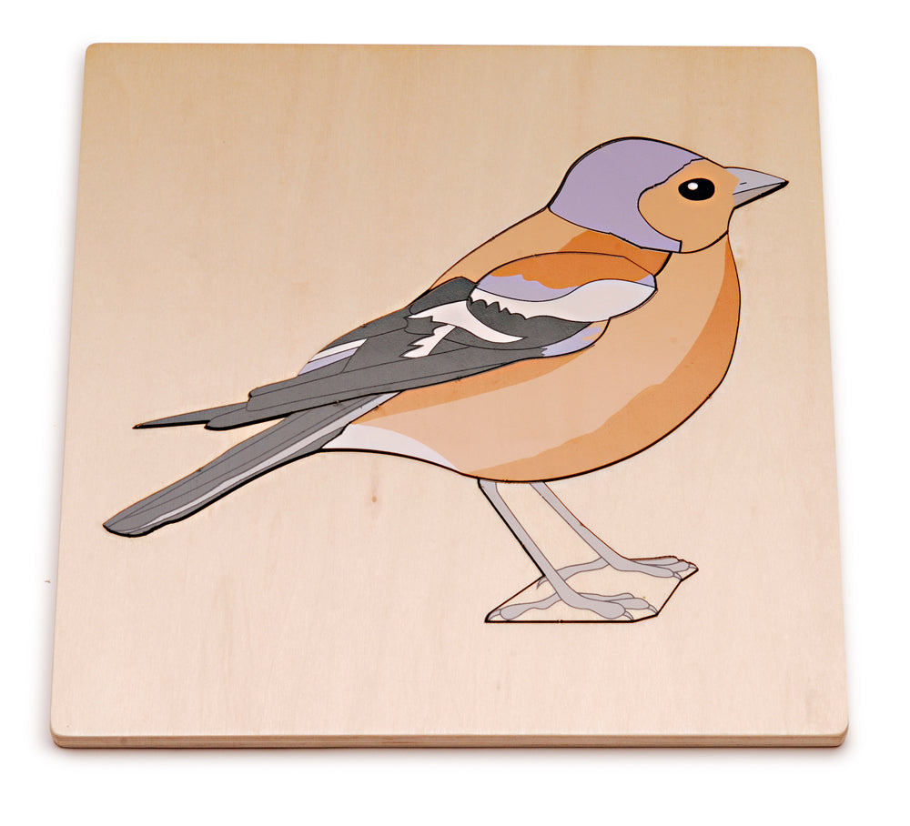 Chaffinch Puzzle