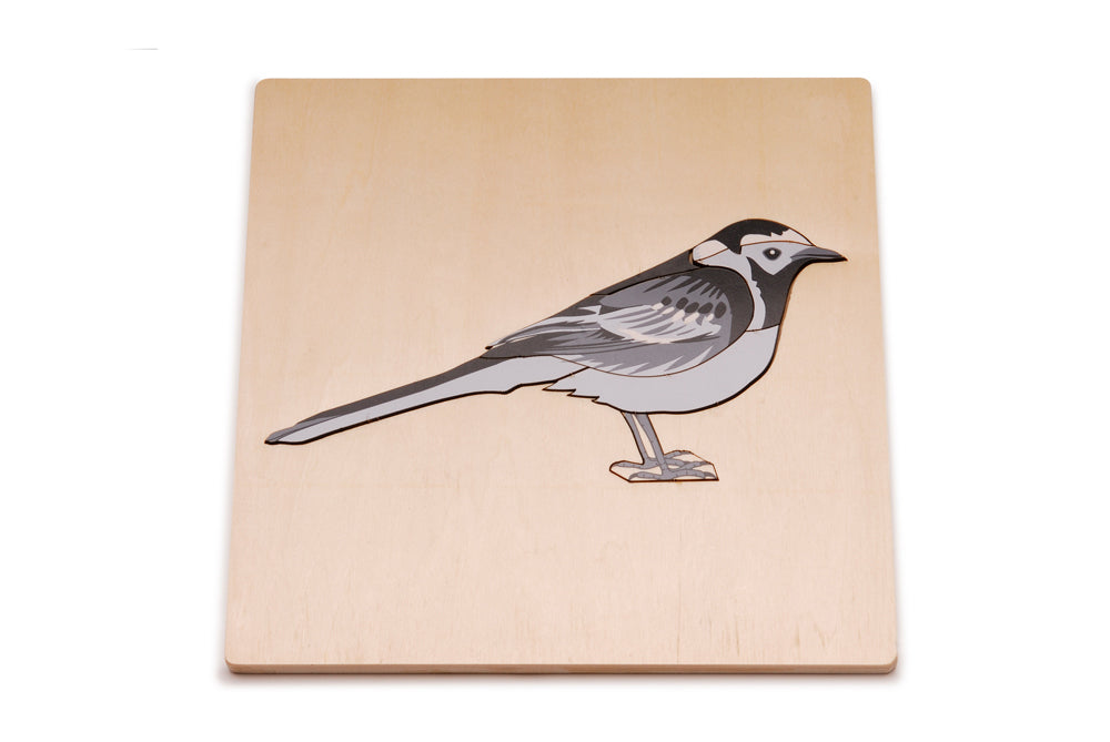 Wagtail Puzzle