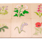 British Wildflowers Puzzles