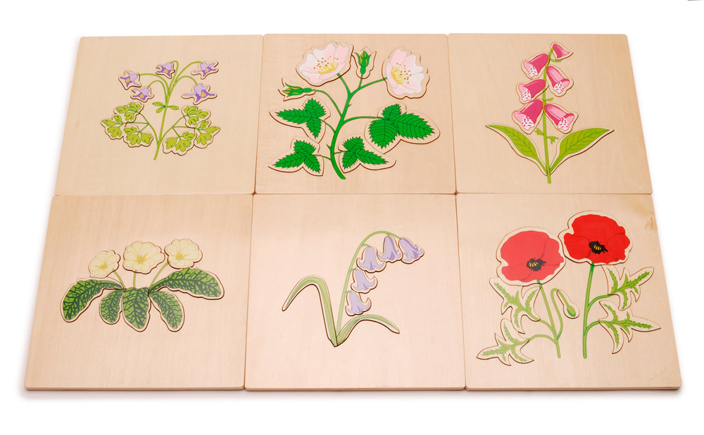 British Wildflowers Puzzles