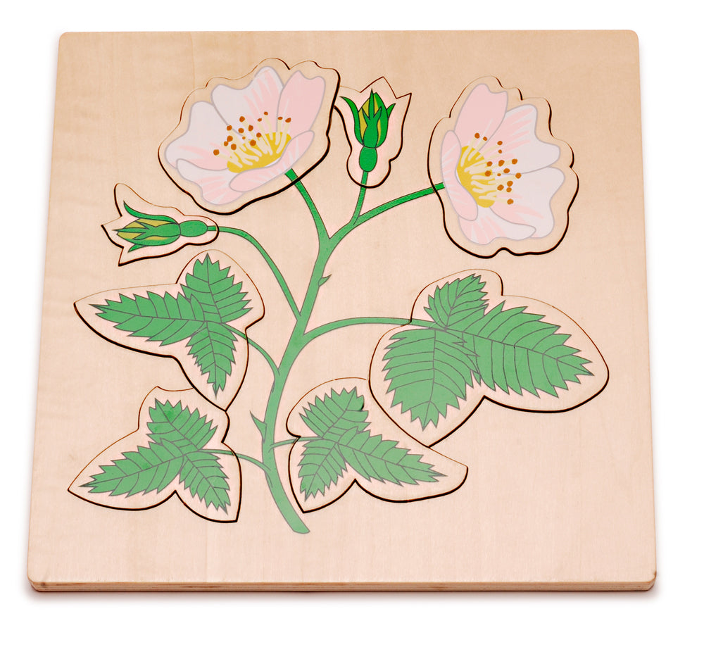 Dog Rose Puzzle