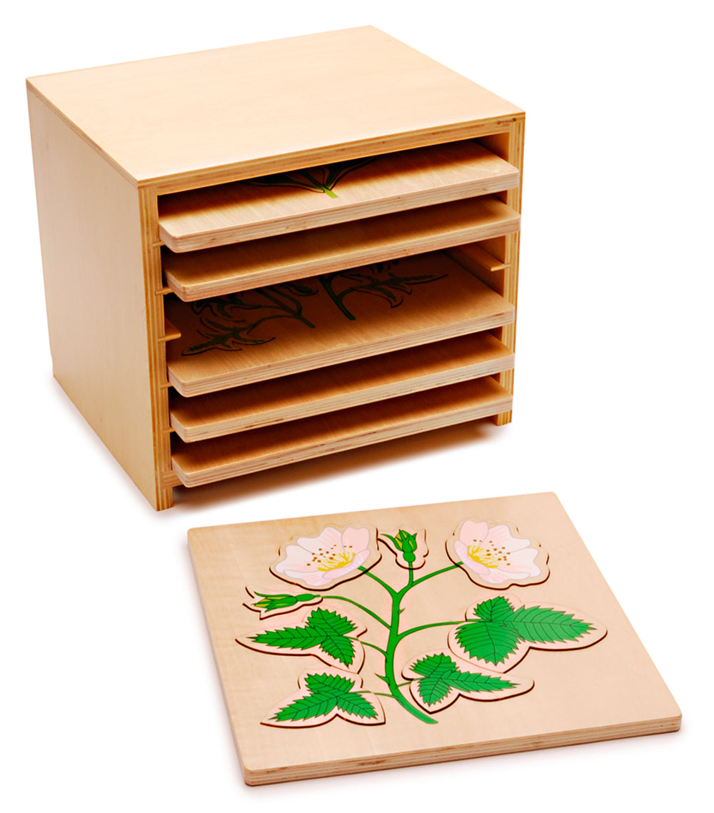 Dog Rose Puzzle