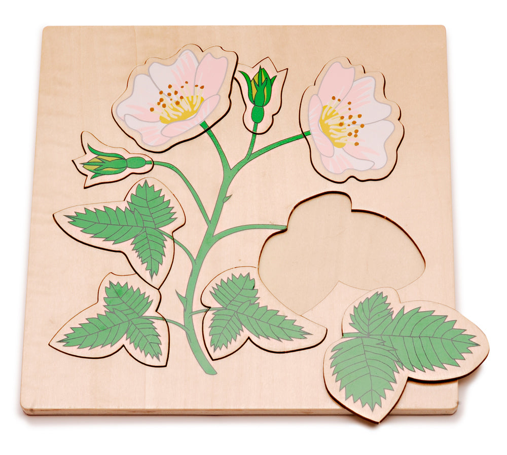 Dog Rose Puzzle