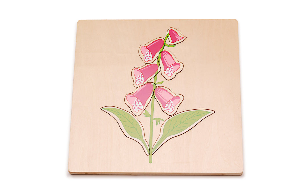 Foxglove Puzzle